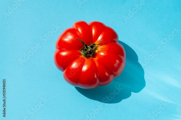 Obraz red tomato on blue background