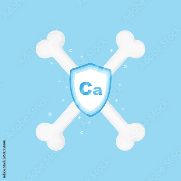 Fototapeta Two healthy bones protected by calcium shield. Vector flat illustration.