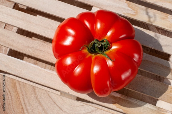 Obraz red tomato on wooden table