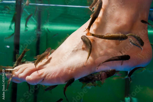 Obraz Hauttherapie mit Doktorfischen