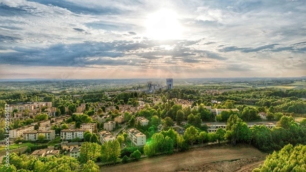 Obraz vineyard at sunset