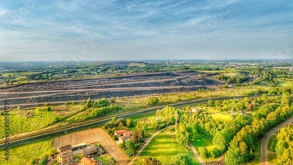 Obraz view of a vineyard