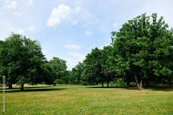 Obraz Prairie dans le Domaine Lacroix-Laval, Marcy l'Étoile, Auverge-Rhône-Alpes, France