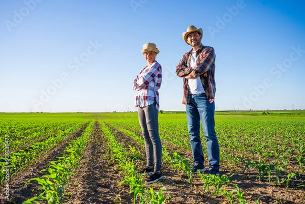 Fototapeta Man and woman are working together in partnership. They are cultivating corn.
