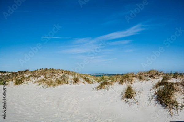 Obraz Dünen am Strand in Prerow, Fischland-Darß