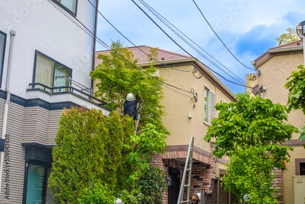 Obraz 庭木・剪定・伐採をする職人