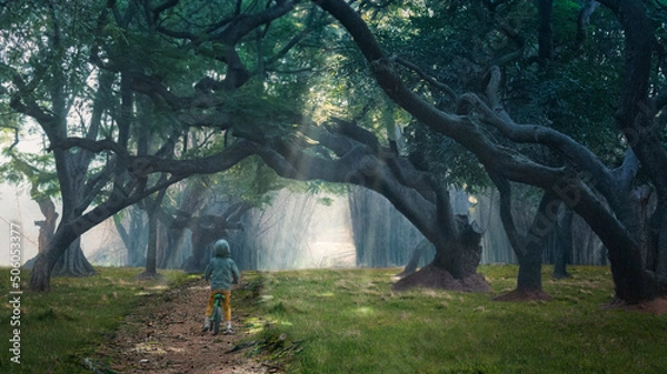 Fototapeta misty morning in the forest