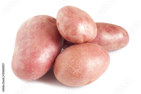 Obraz pomme de terre rouge