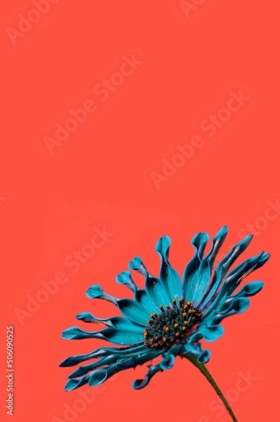 Obraz abstract background