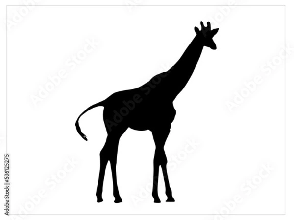 Obraz Black flat silhouette standing giraffe Royalty Vector Image for free EPS