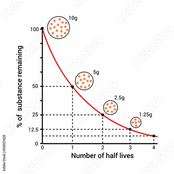 Fototapeta Graph of half life and radioactive decay curve in physics