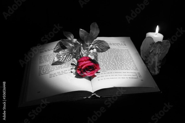 Obraz Liebe des Herren 