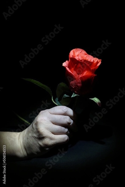 Obraz Hans mit Roter Rose
