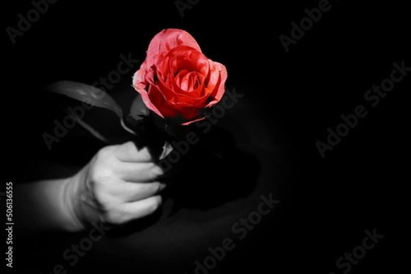 Obraz Hans mit Roter Rose