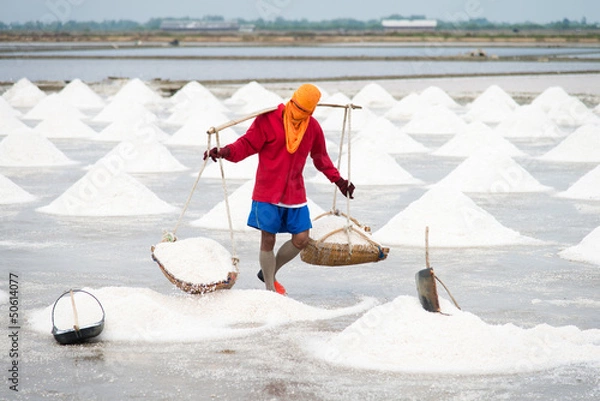 Obraz Salt pan harvest