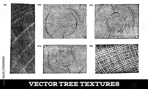 Obraz Vector Wood Tree Textures on White Background
