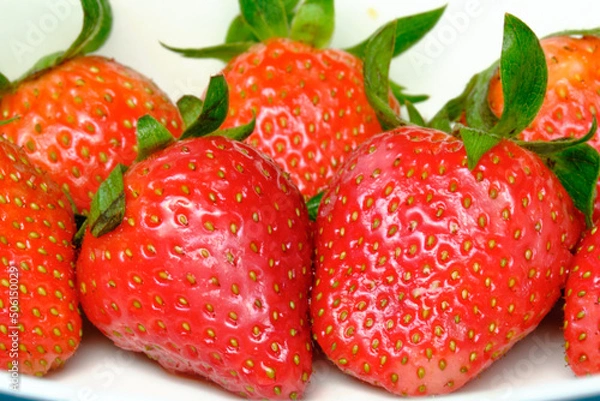Fototapeta red strawberries for your nutritions