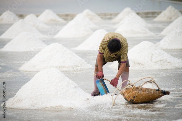 Obraz Salt pan harvest