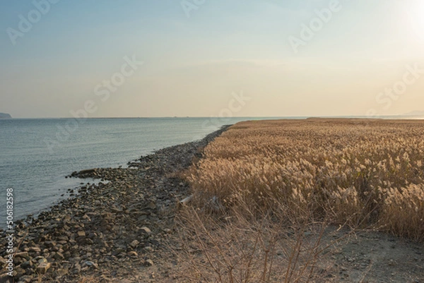 Obraz 부산 을숙도