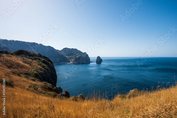 Obraz 울릉도 관음도