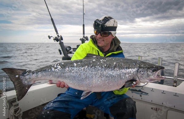 Obraz Salmon fishing in Swedish Baltic sea