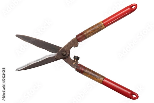 Obraz Grass scissors isolated on white