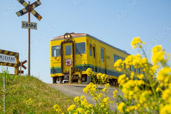 Obraz 春のいすみ鉄道の踏切