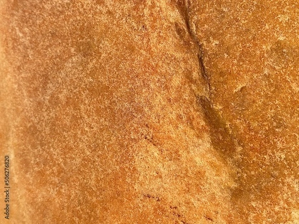 Fototapeta brown bread texture