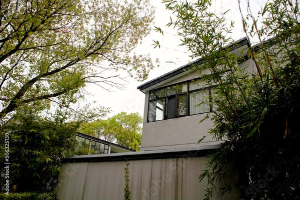 Obraz house in the woods