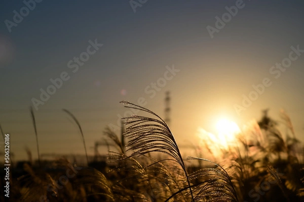 Fototapeta 夕焼け