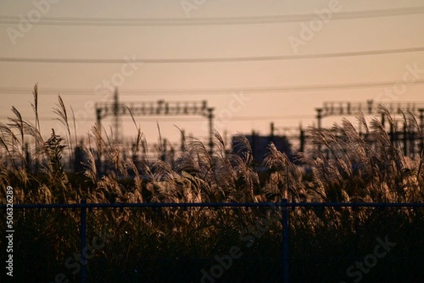 Fototapeta 夕焼け