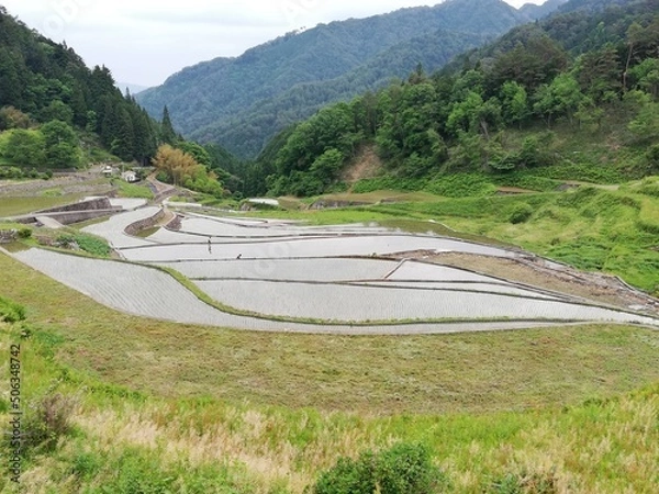 Obraz 棚田百選に広島県で唯一選ばれた「井仁の棚田」