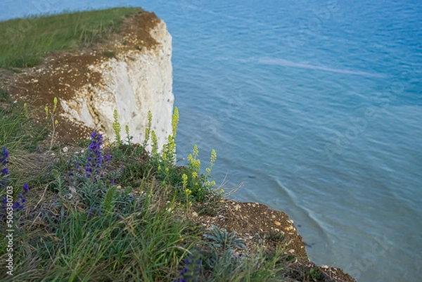 Fototapeta View of the bright blue water of the ocean from the top of the cliff. The ocean at the foot of the cliff.