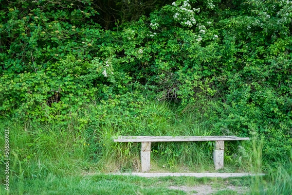 Fototapeta Lonely wooden bench in bright green grass. Bench in the garden. A bench in the forest. Bench in the field.