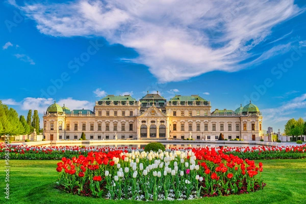 Fototapeta Vienna Austria city skyline at Belvedere Palace and beautiful tulip flower