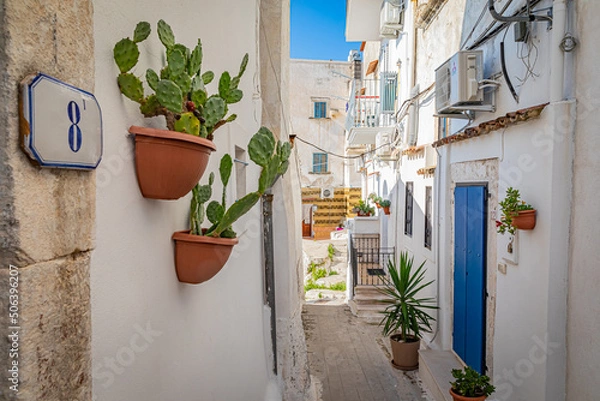 Fototapeta Peschici is a town and comune in the province of Foggia in the Apulia region of southeast Italy