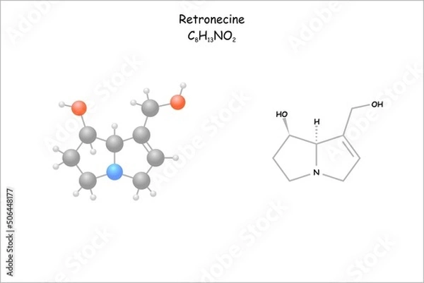 Fototapeta Stylized molecule model/structural formula of Retronecine. Substance a stomach insecticide e.g in the genera Senecio.