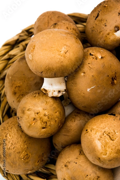 Obraz Mushrooms on white background