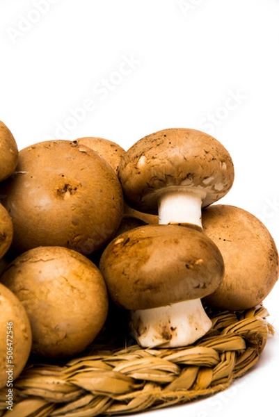 Obraz Mushrooms on white background