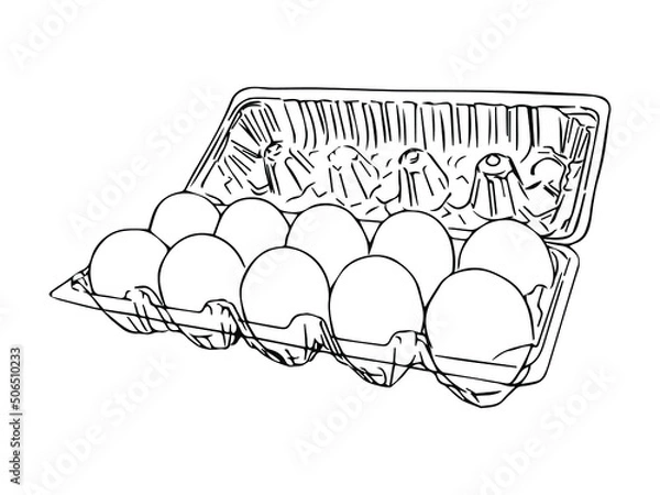 Fototapeta box of eggs from supermarket isolated vector hand drawing