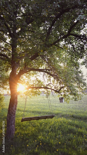 Obraz Springtime swing