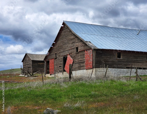 Obraz old barn in the field