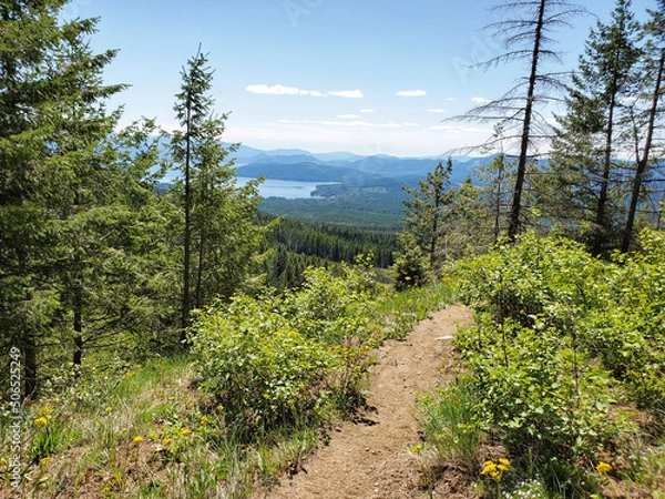 Obraz Trail overlooking lake view
