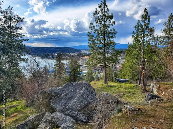 Obraz Hammock in the trees landscape