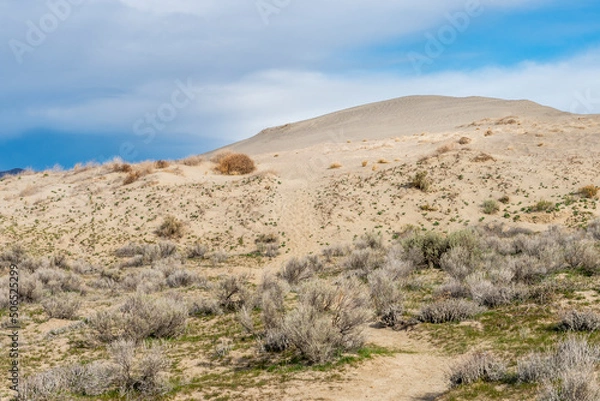 Obraz trail through sand dunes