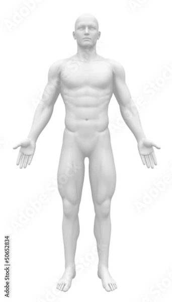 Obraz Blank Anatomy Figure - Front view