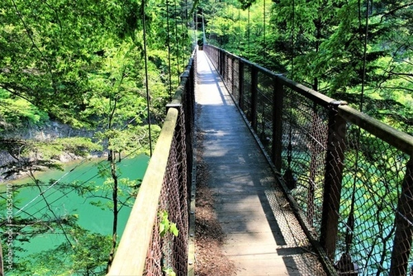 Fototapeta 栃木県那須塩原市の回顧の吊橋