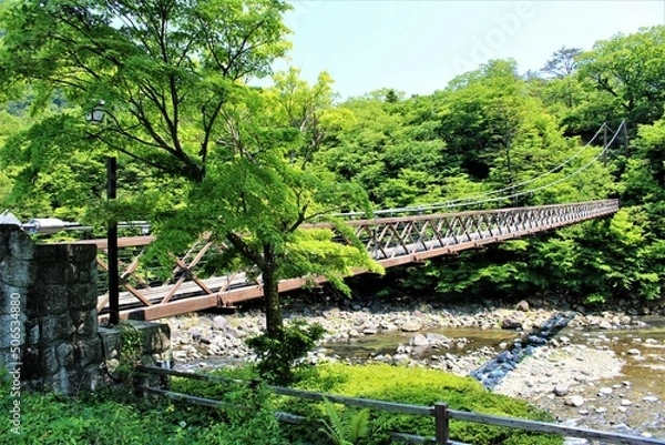 Obraz 栃木県那須塩原市の七つ岩の吊橋