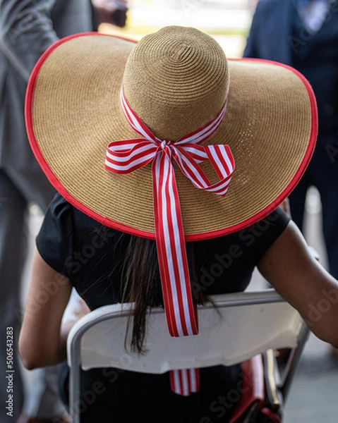 Obraz An attendee at a horse race, wearing a fancy hat.