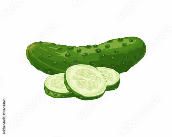 Fototapeta Green cucumber. Image of a ripe sliced green cucumber. Green vegetarian product. Vector illustration isolated on a white background